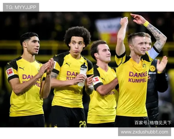 体育欧洲联赛特点（欧洲联赛制度）sports